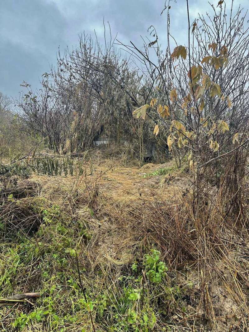 Лінія оборони у Курській області