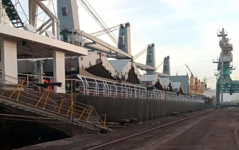 До Алжиру прибуло друге судно з України за "зерновою ініціативою" dqxikeidqxitkant