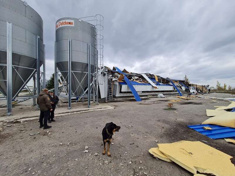  ,  , ,    ,  dqxikeidqxiqqeant