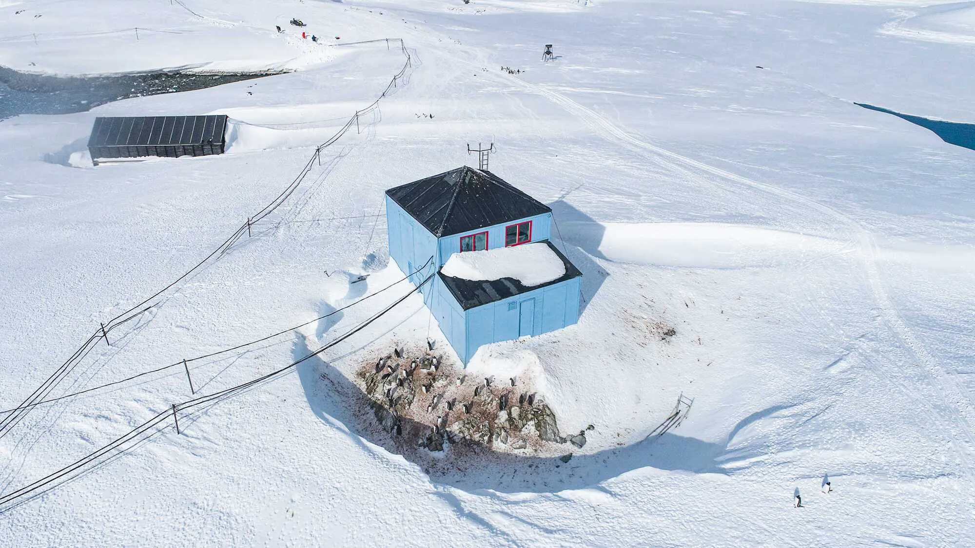 Станцию ’Академик Вернадский’ замело рекордным количеством снега: пингвины гуляют по крыше. Фото dqxikeidqxiqqeant