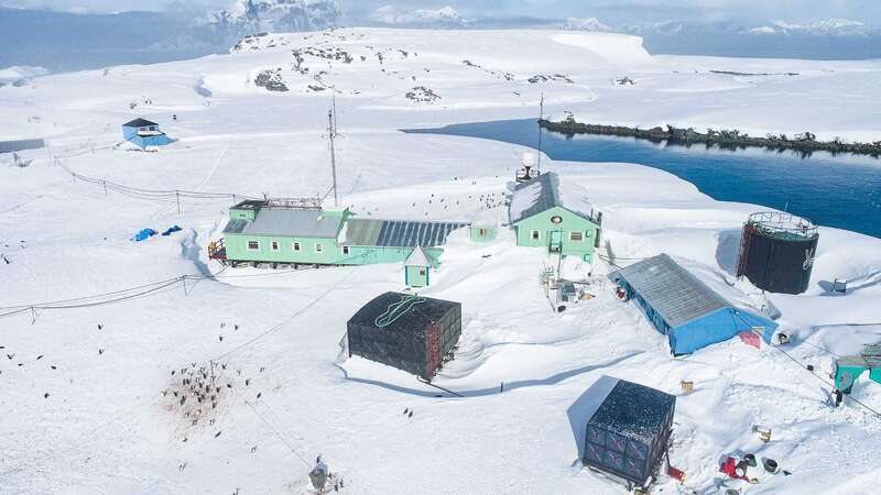 Станцию ’Академик Вернадский’ замело рекордным количеством снега: пингвины гуляют по крыше. Фото