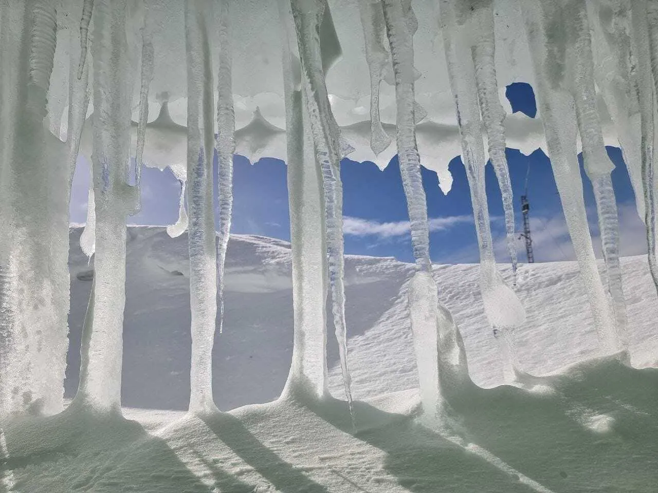 Станцию ’Академик Вернадский’ замело рекордным количеством снега: пингвины гуляют по крыше. Фото