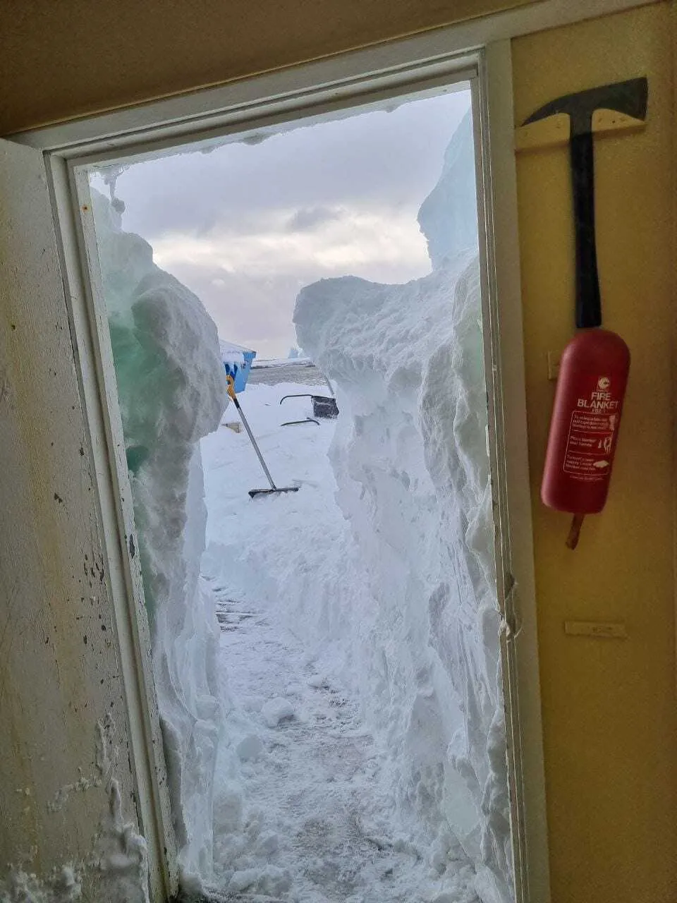 Станцию ’Академик Вернадский’ замело рекордным количеством снега: пингвины гуляют по крыше. Фото