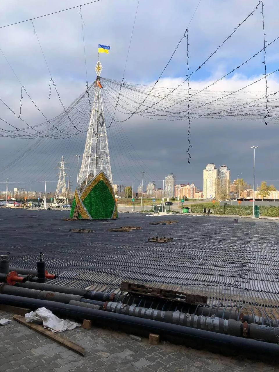 В Киеве появится первая новогодняя елка. Фото dqxikeidqxiqxxant