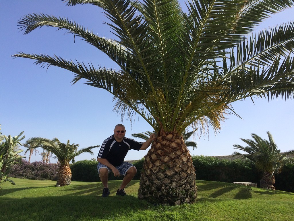 F424CF4D07AE6E337BD0252F77ABDD6B86AB695AE380346725-pimgpsh_fullsize_distr-1024x768