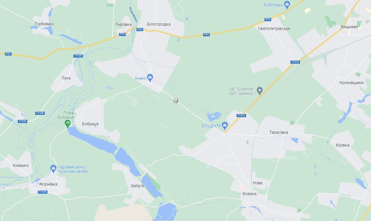 На Київщині маршрутка на швидкості з’їхала у кювет та перекинулася: є постраждалий. Фото dqxikeidqxiqqeant