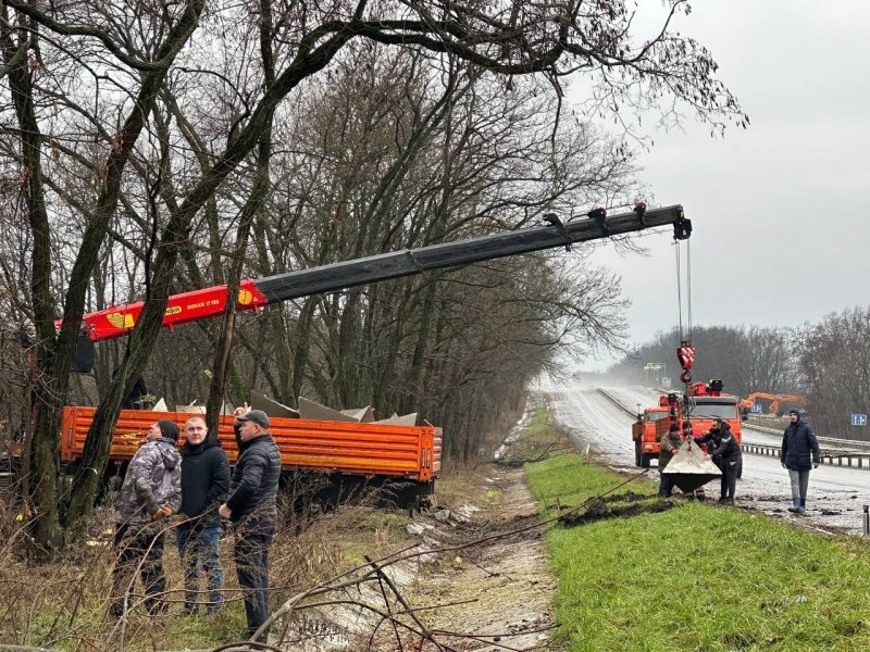 засічна риса, білгородська засічна риса dqxikeidqxiqqeant