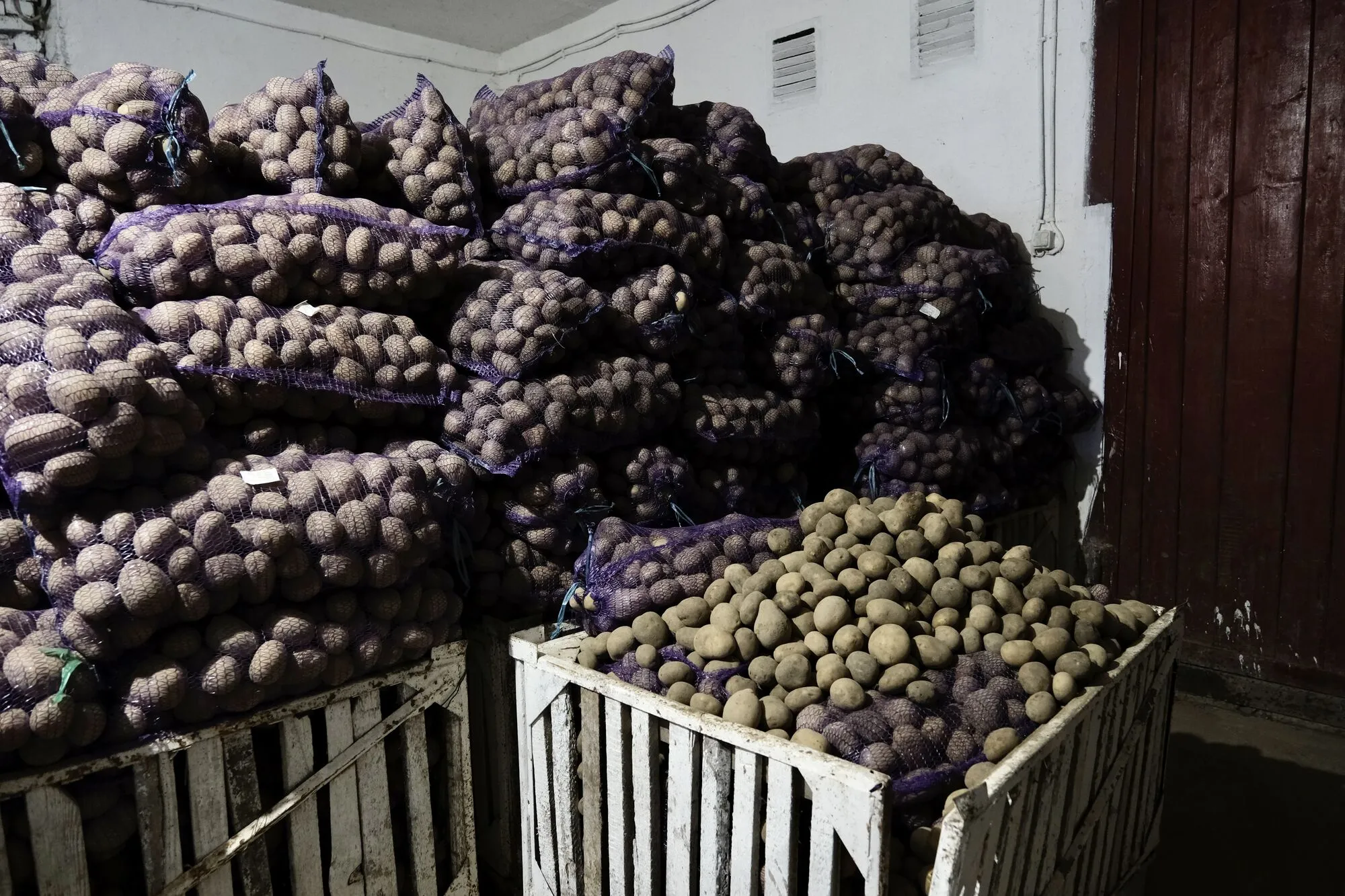 Таке точно не побачать росіяни: що відбувається в таборі для російських військовополонених. Фоторепортаж dqxikeidqxiqxxant