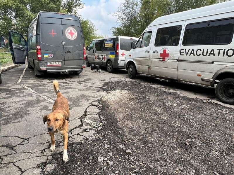 джеймс хьюїтт, коханець прицнеси діана, коханець діана, допомога українці, лорд монсон