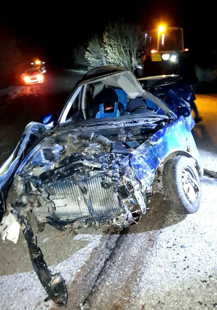 На Київщині легковик з’їхав у кювет та зіткнувся з деревом: водій загинув. Фото