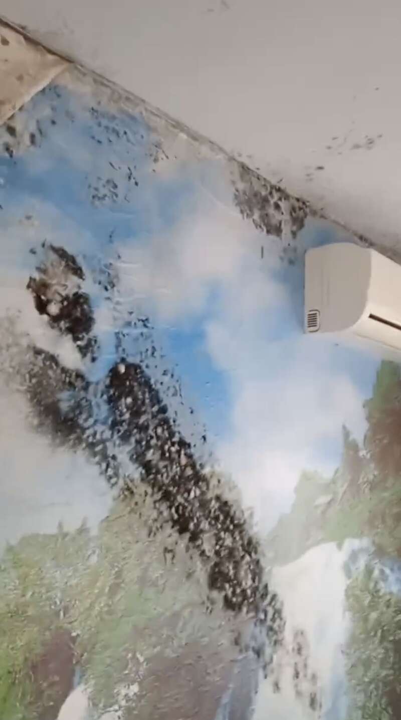 В окупованому Маріуполі у будинках замерзає вода, люди змушені виживати у тяжких умовах. Відео