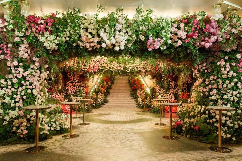 Elie Saab,  ,  , , ,  ,  