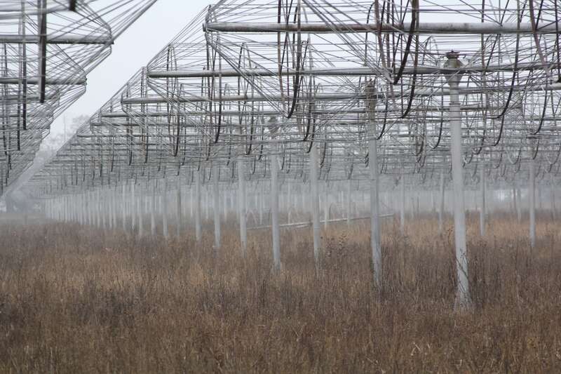 ©   [ ] dqxikeidqxitkant