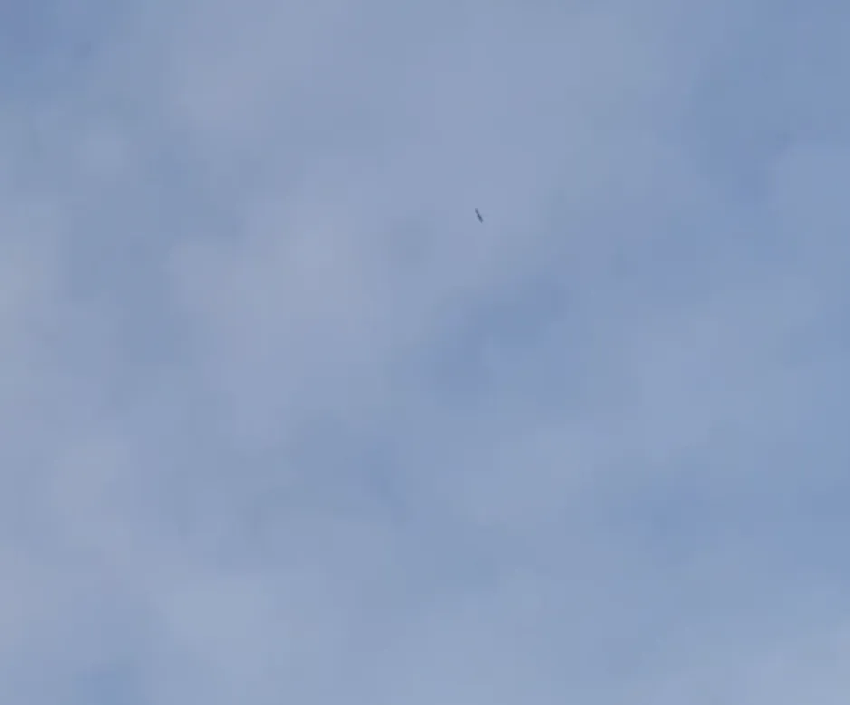 На Волгоградщині заявили про падіння невідомих об’єктів під час атак на Україну: росіяни вимагають пояснень від влади. Фото і відео dqxikeidqxiqxxant