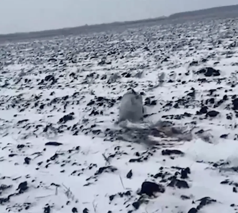На Волгоградщині заявили про падіння невідомих об’єктів під час атак на Україну: росіяни вимагають пояснень від влади. Фото і відео