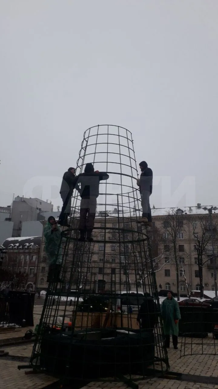 В Киеве начали монтировать новогоднюю елку на Софийской площади. Фото и видео dqxikeidqxiqqeant