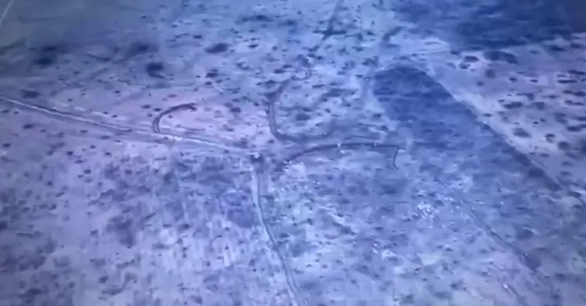 Нацгвардия остановила прорыв кафиров в Донецкой области. Видео