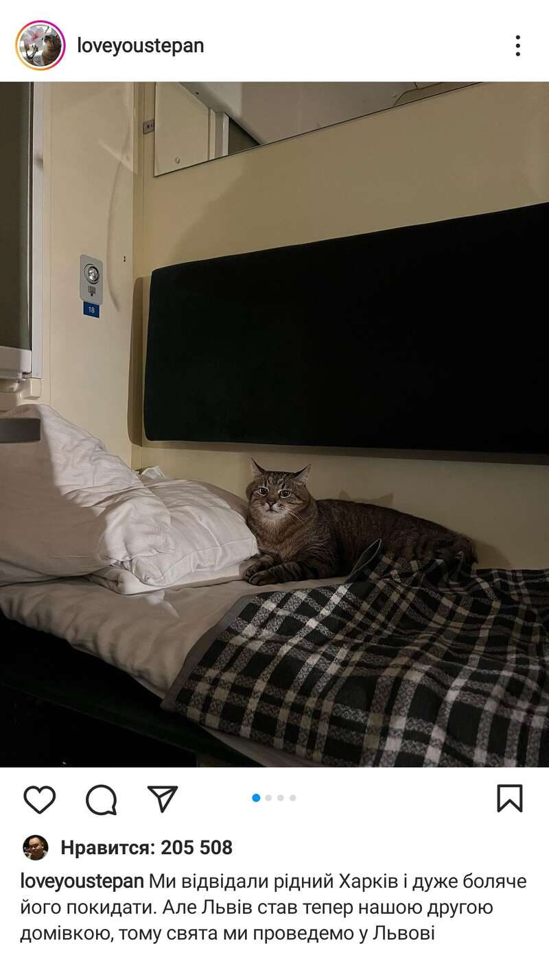 скрин с Instagram