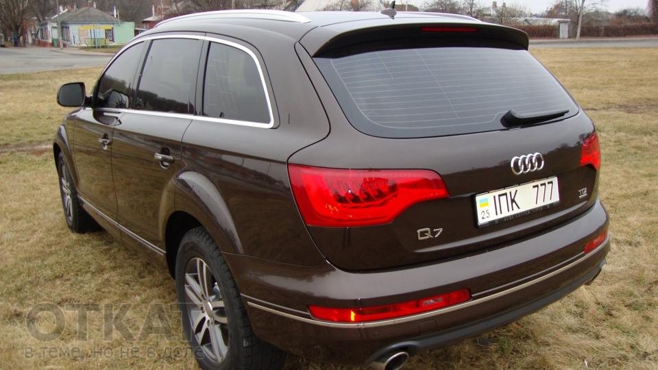 10358009_639272602824038_748320433_n dqxikeidqxitkant