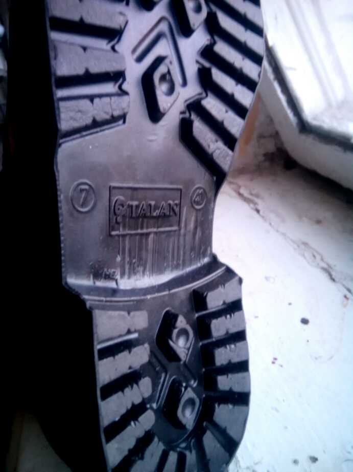 11903947_1025926897425761_8226414305410241424_n