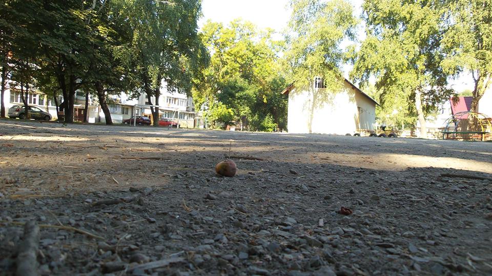 11960147 868839446499306 5819229915575622731 n dqxikeidqxiqqeant