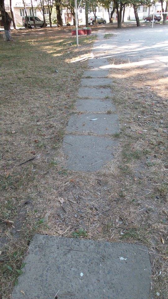 11891257 868839283165989 7031465781175232564 n