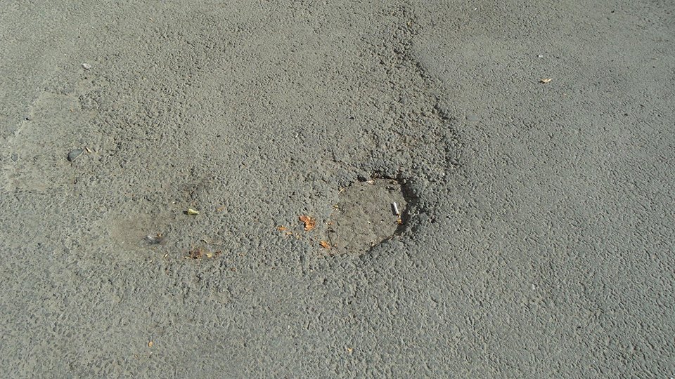 11885220 868839303165987 9021205456863355556 n