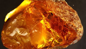 yantar dqxikeidqxiqqeant