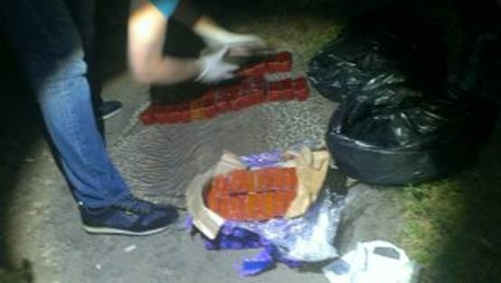 pm101image006 dqxikeidqxiqqeant