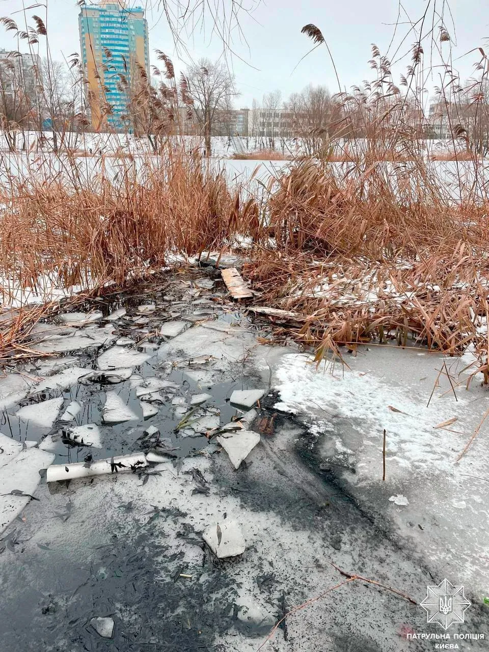 В Киеве патрульные, рискуя собственной жизнью, спасли мужчину: подробности и фото dqxikeidqxitkant
