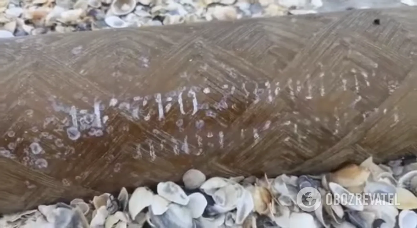 Напис dqxikeidqxitkant