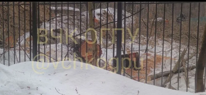 Паніки немає: у Москві почали вирубувати парк під встановлення системи ППО. Фото dqxikeidqxitkant