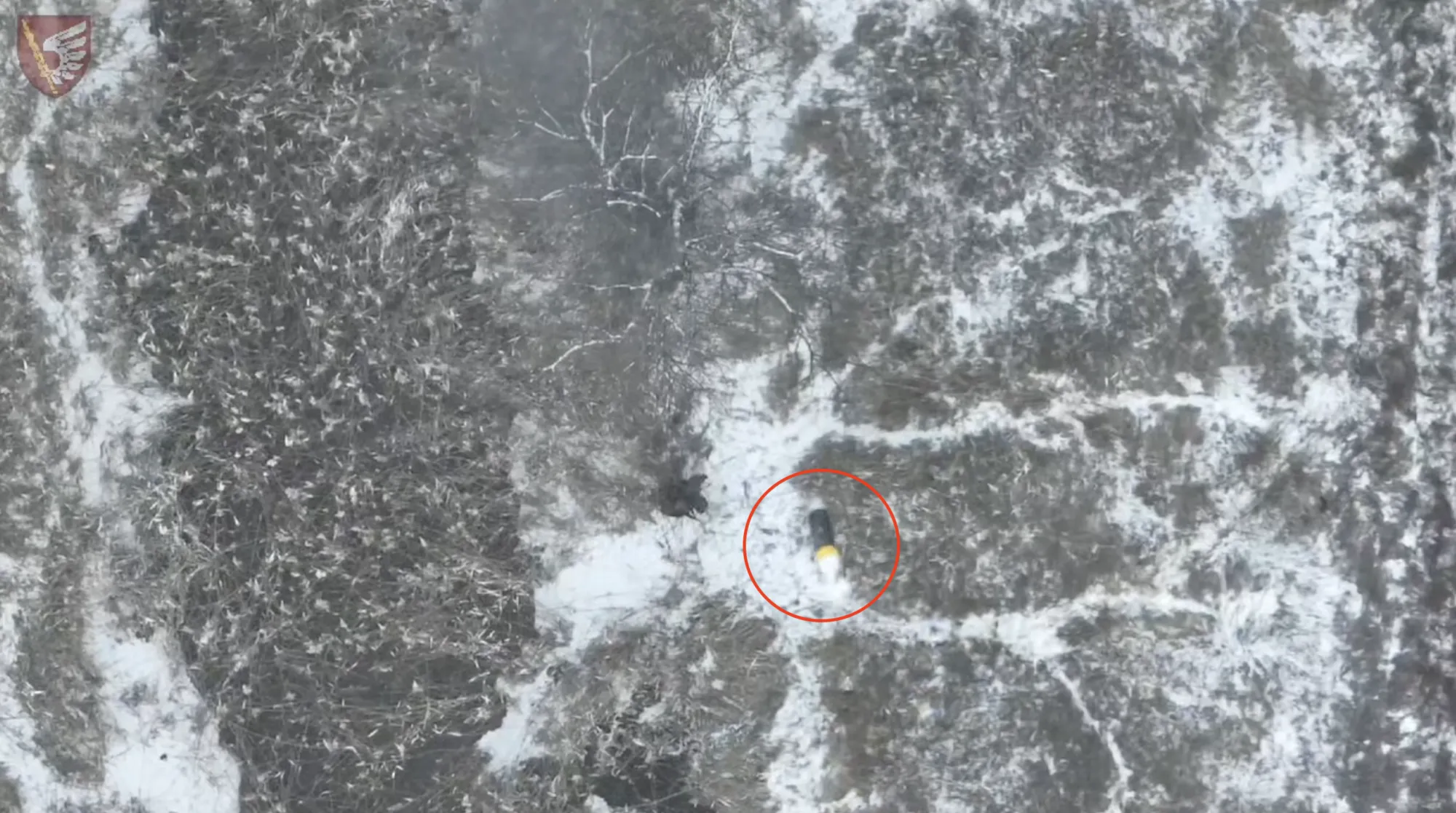 Українські десантники відбили штурм поблизу Мар’їнки: окупанти зазнали втрат і втекли. Відео dqxikeidqxiqqeant