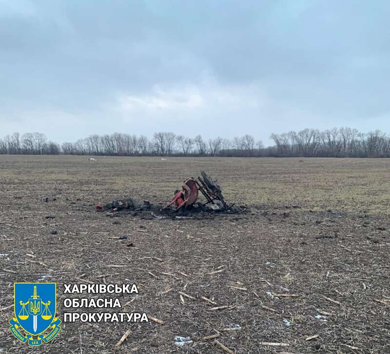 Возможно, это изображение на открытом воздухе, дерево и текст dqxikeidqxiqqeant