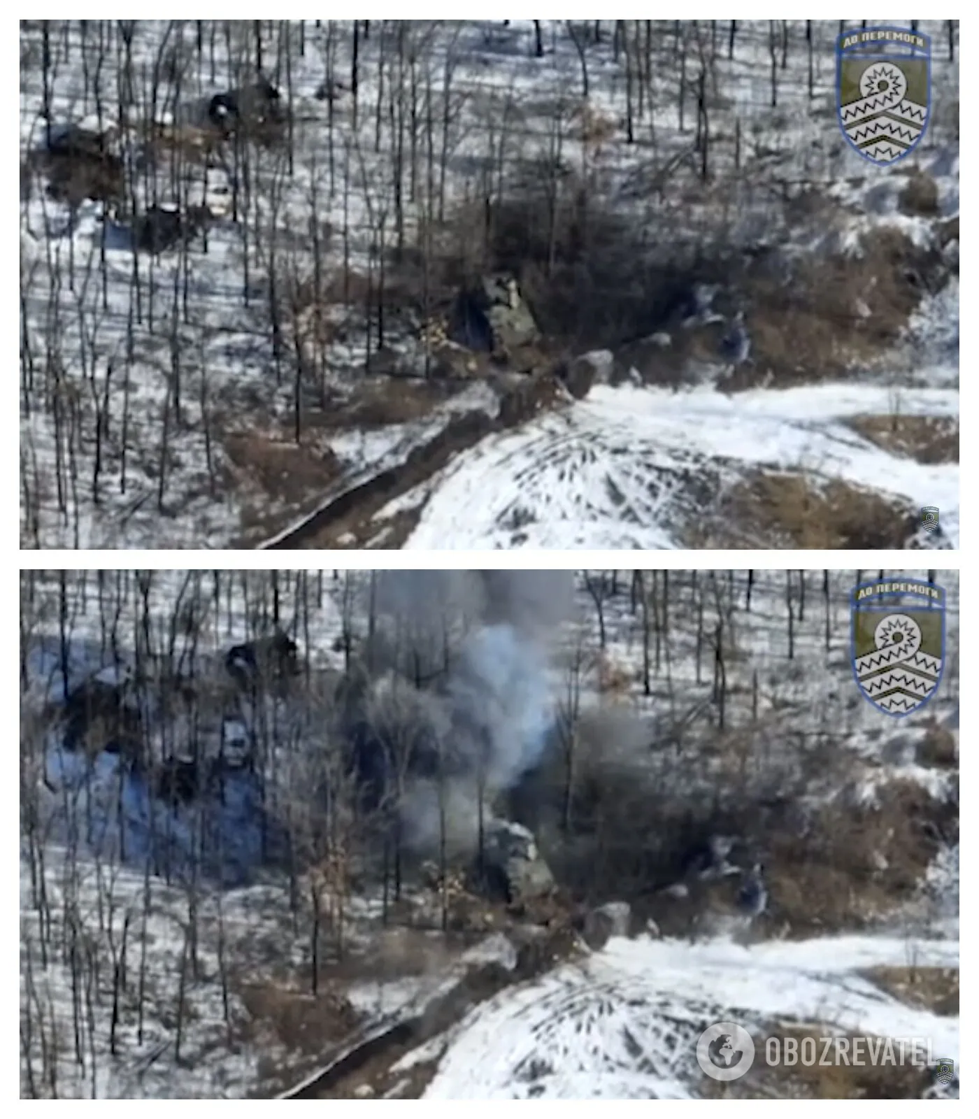 ˳   dqxikeidqxidant