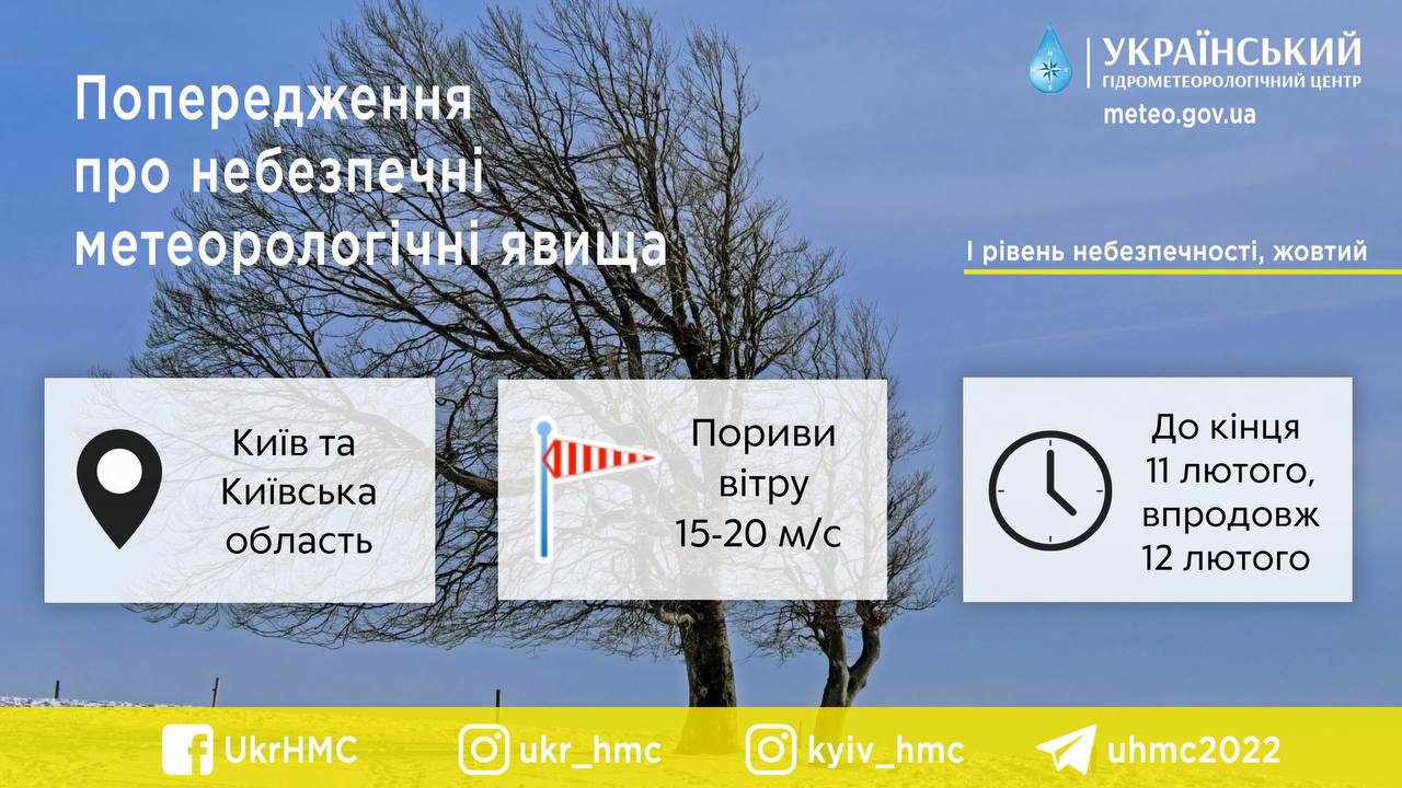     :      dqxikeidqxidant