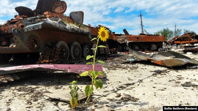 Уничтожена российская военная техника на территории агрофермы, июль 2022 года