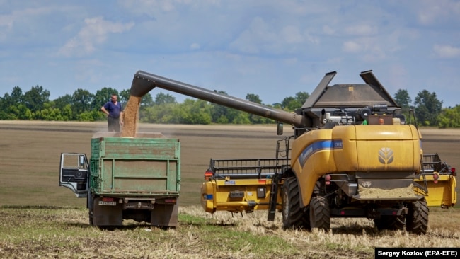 Во время загрузки только что собранной пшеницы из комбайна в грузовик, недалеко от Харькова, фото от 30 июля