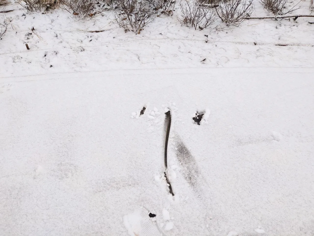 ’’ ’’:     ,   –  . 