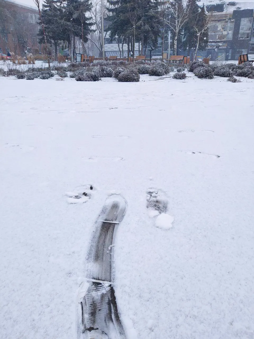 ’’ ’’:     ,   –  . 