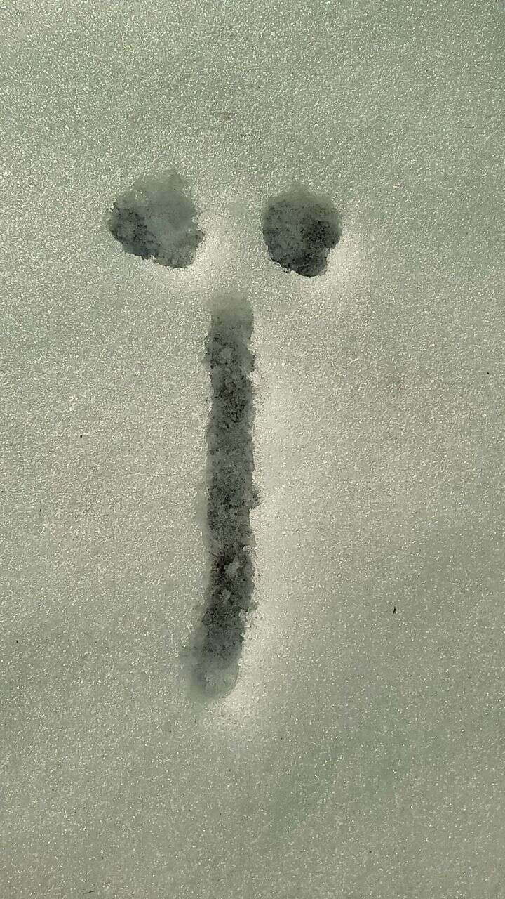 ’’ ’’:     ,   –  . 