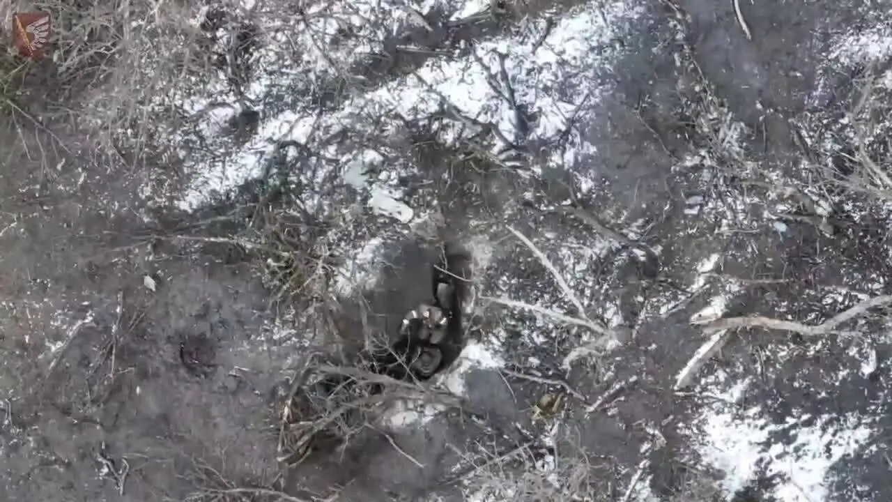   :   ,       .  dqxikeidqxiqqeant