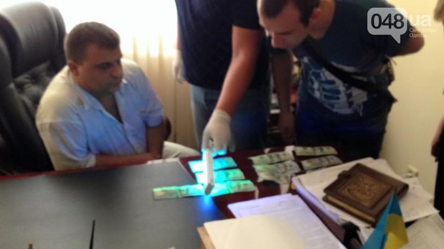 11990462_1177813002244497_6675489739907897991_n