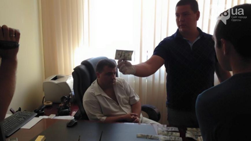 11953197_1177813032244494_6955175338598955925_n