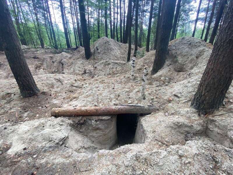   ,         .   ,         »