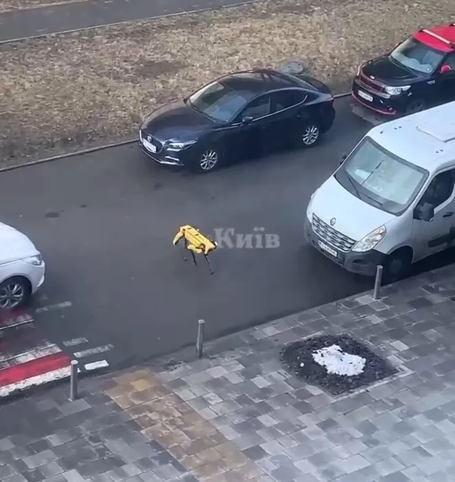   볒:    -  Boston Dynamics  . ³  dqxikeidqxitkant