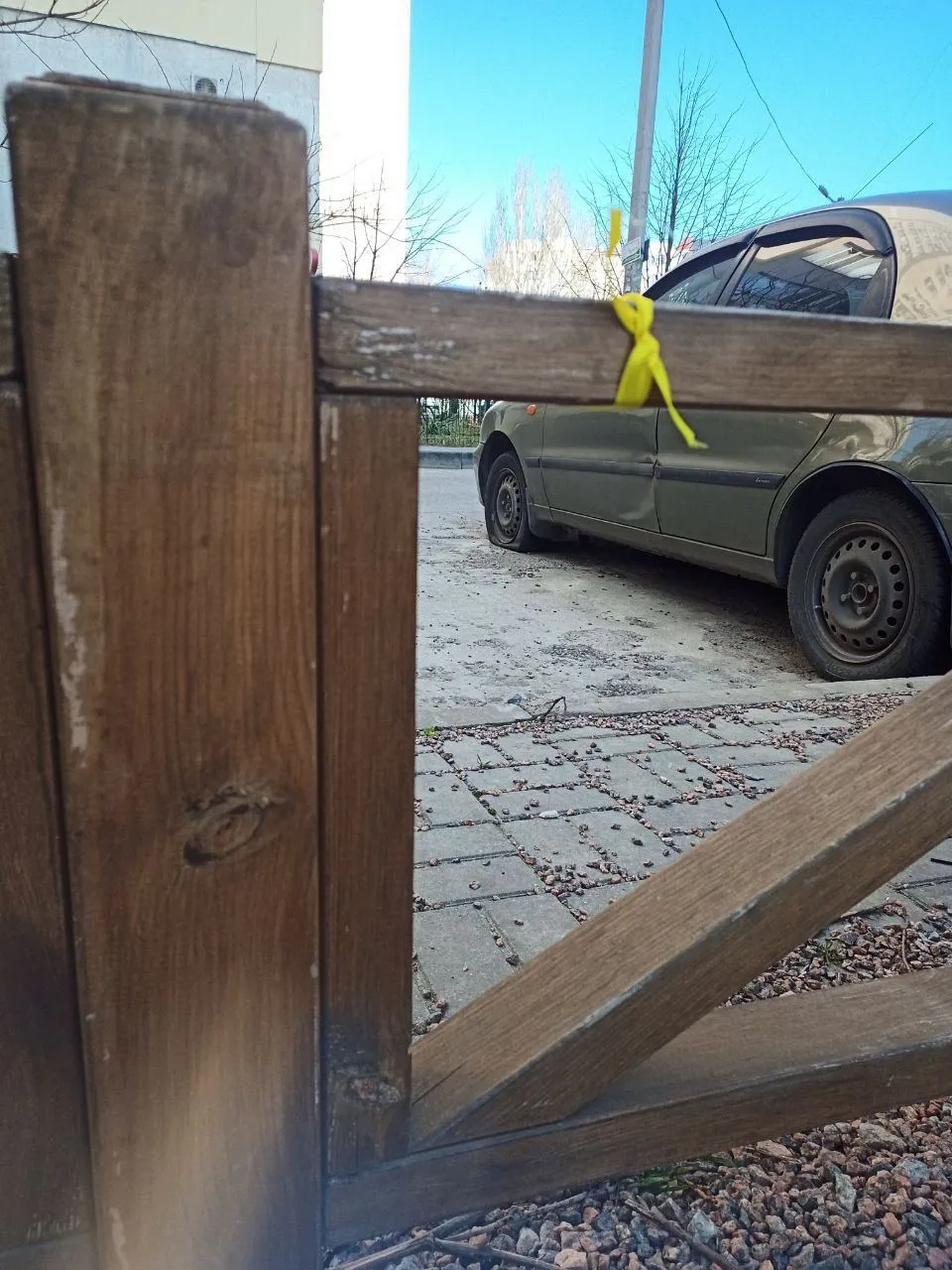  :   ""   .  dqxikeidqxitkant