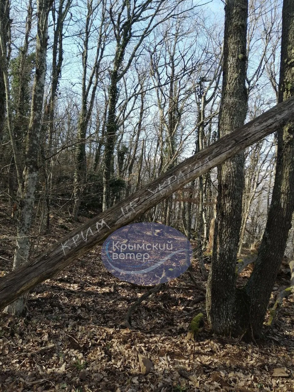  –  :      .  dqxikeidqxitkant