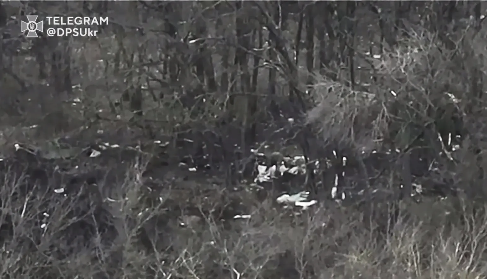  ꒒:    ꒒      .  dqxikeidqxiqxxant