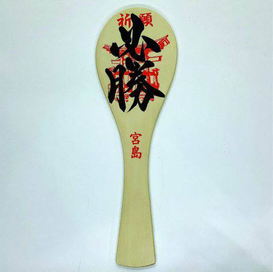 Японський прем’єр привіз подарунок Володимиру Зеленському dqxikeidqxiqqeant